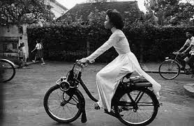 Традиционное платье «аозяй» подчёркивает красоту вьетнамских женщин - ảnh 2